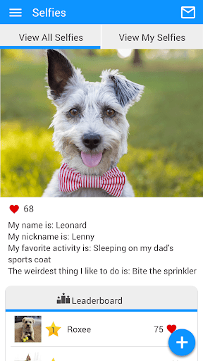 Estero Animal Hospital