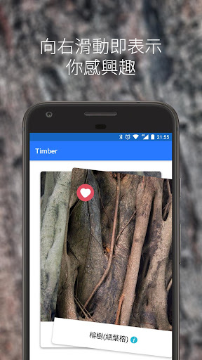 Timber - 香港古樹皮圖鑑 Screen 2