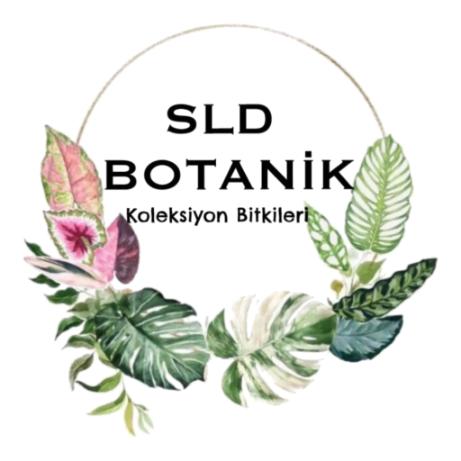 SLD BOTANIK logo