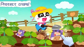Game screenshot Little Panda's Dream Garden hack