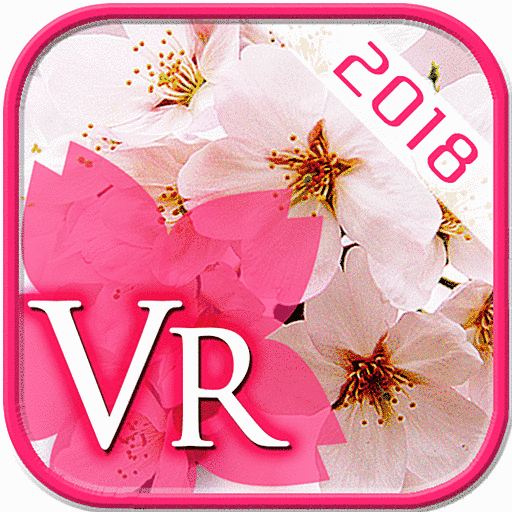 Sakura Viewing VR
