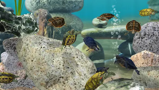 3D Fish Growing on the App Store