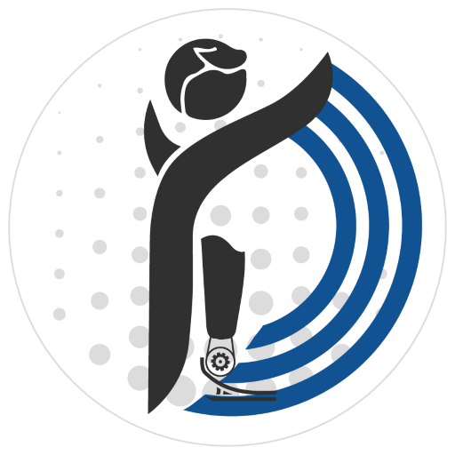 RoMicP logo