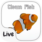 Clown Fish Live Keyboard Theme icon