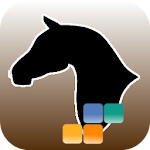 Winhard Guide HD ( HK Horse ) Apk