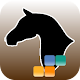 Winhard Guide HD ( HK Horse ) Download on Windows