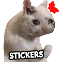 Stickers Memes Gatos WASticker