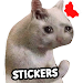 Cat Memes Stickers WASticker 2.2.1 Latest APK Download