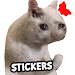 Cat Memes Stickers WASticker