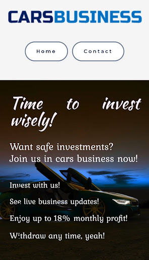 Cars Business Screen 3
