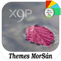 X9P : Xperia Theme