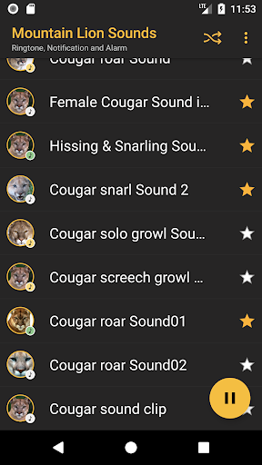 Cougar and Mountain Lion Sound Screen 3