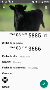 Screenshot 5 EL Mayoral android