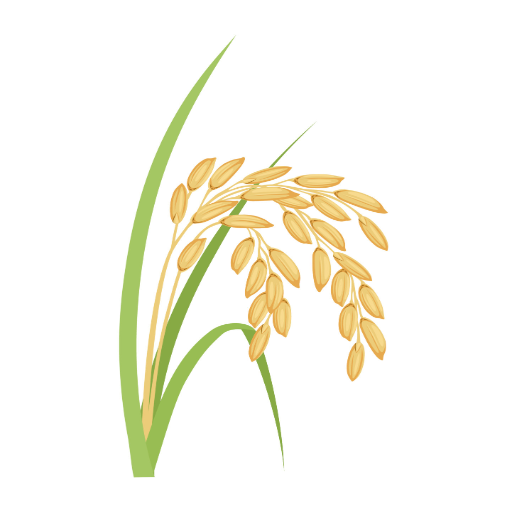 Sổ Nhà Nông logo