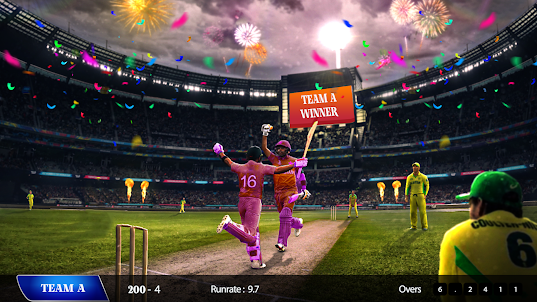 Real Champs Cricket League