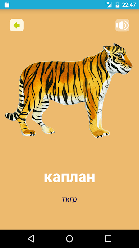 Aywanlar Screen 3