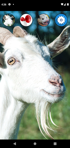 Logo https://play-lh.googleusercontent.com/3kA-q4NCNZiSCwc076guj-DaXheOS0r_1PCtOtv6yOYso-2LHHTMpPqLcMX5GMBn8x11