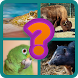 Adivinar Animales - Androidアプリ