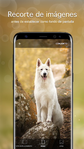 Fondos de pantalla con perros Captura de Pantalla de la Aplicación Android 4