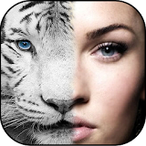 Animal Face Swap icon