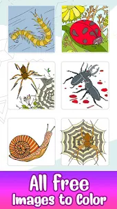 Insects Color by Number Book