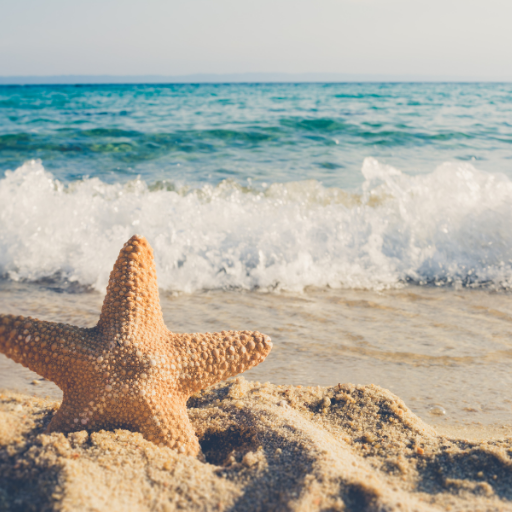 Beach Wallpaper logo