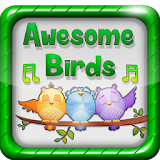 Birds Calls, Sounds, Ringtones icon