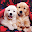 Puppies Live Wallpaper Download on Windows