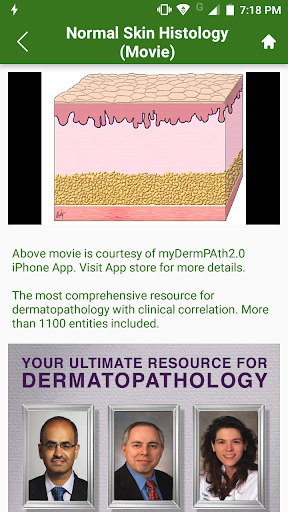 WoundDoctor Screen 3