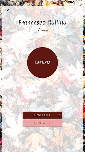 Francesco Gallina Screen 3