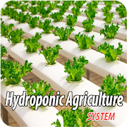 Hydroponic Agriculture System