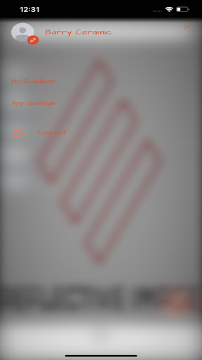 Reflective Image Screen 3