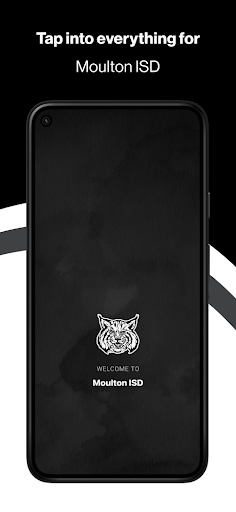 Vista previa de la aplicación