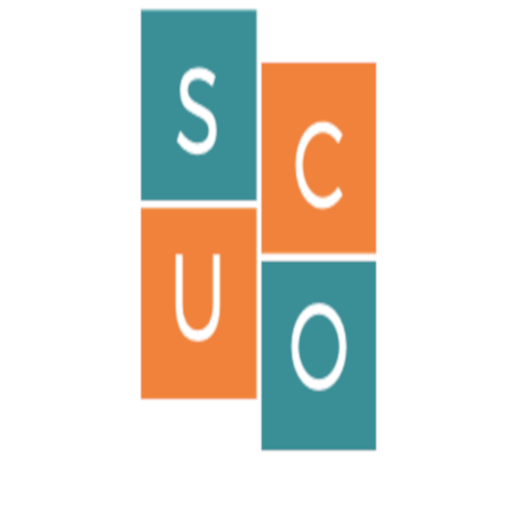 Super Conversor logo
