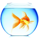 金魚ライブ壁紙 - Androidアプリ