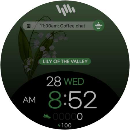 Screenshot of SamWatch Flower 2024 Lily