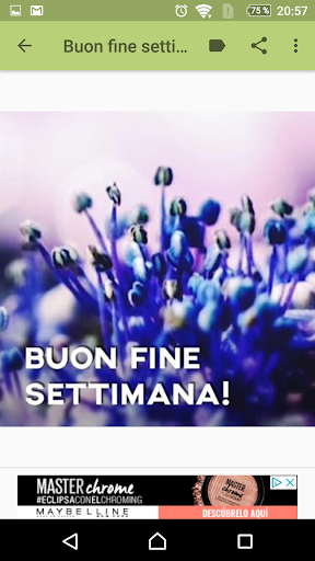 Buon fine settimana Screen 3