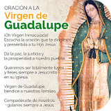 Novena la virgen de Guadalupe icon
