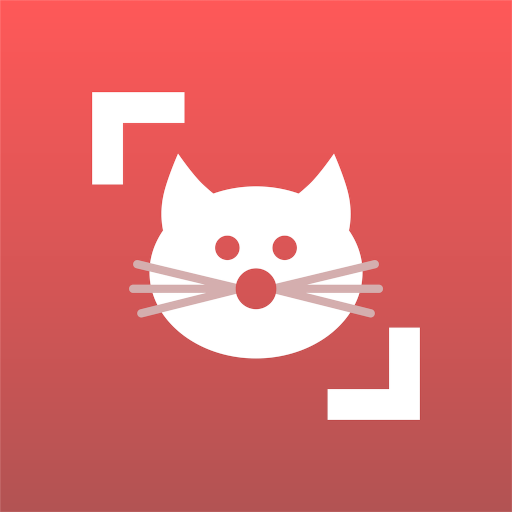 Cat Scanner: Breed Recognition - Apps On Google Play