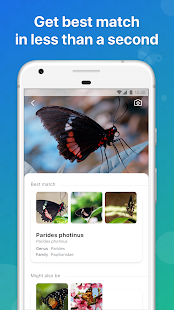 Picture Insect - Bug Identifier(圖2)-速報App