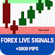 Forex Live Signals : live forex signals buy/sell Download on Windows