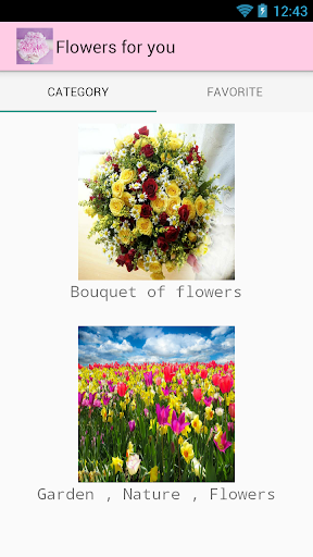 Android application Flowers for you screenshort