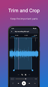 Easy Voice Recorder Pro Patched/Extra v2.8.3 (Patched/Mod Extra) Gallery 4