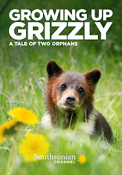 图标图片“Growing Up Grizzly”