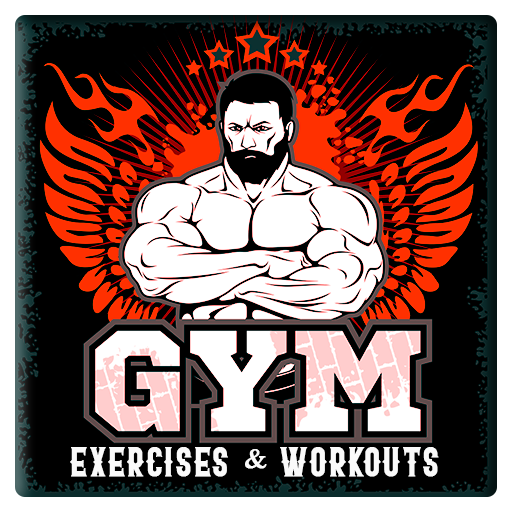 Gym Exercises  Workouts