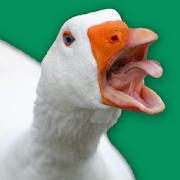 Angry Goose Simulator: Goose Rampage Game