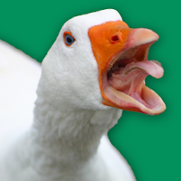 Angry Goose Simulator Rampage