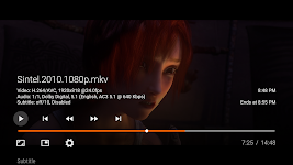 screenshot of Vimu Media Player for TV