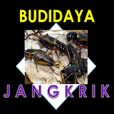 BUDIDAYA JANGKRIK MUDAH icon