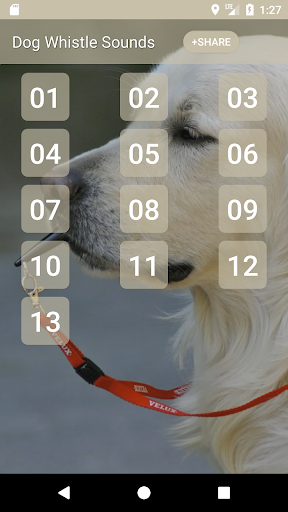 Android application Dog Whistle Sounds screenshort